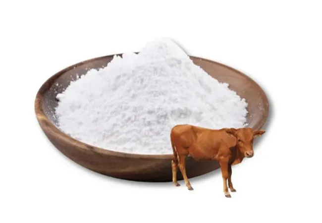 Bovine-Collagen